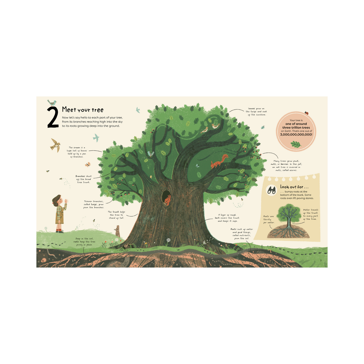 21 Things to do with a Tree Book