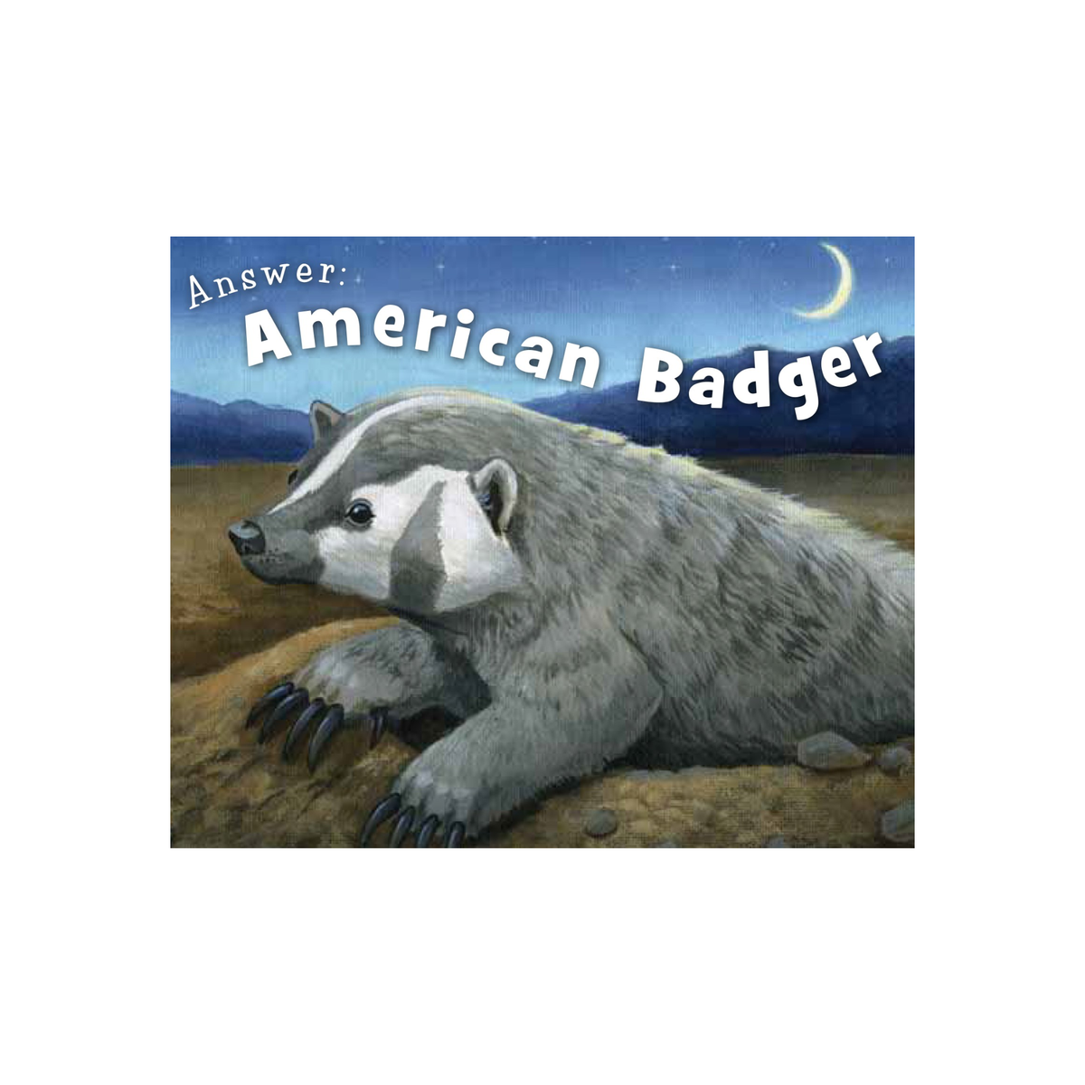 Little Wisconsin Board Book