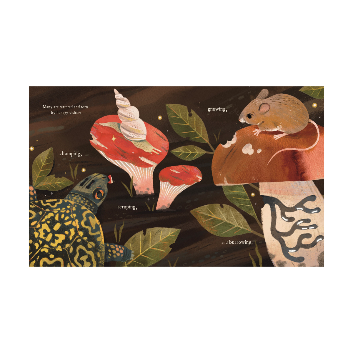 Mushroom Rain Picture Book