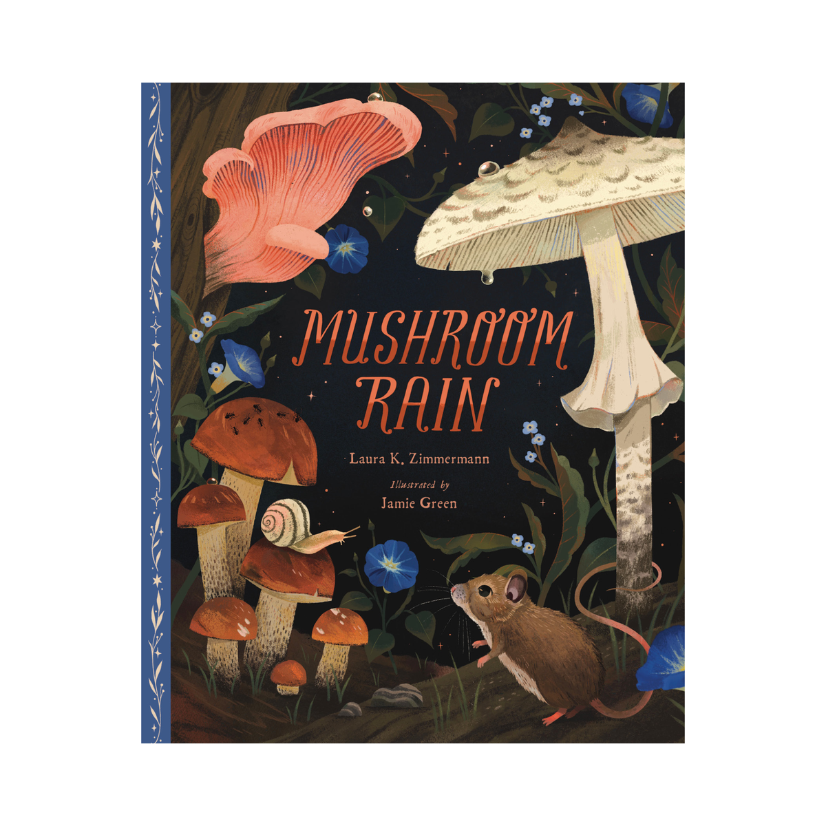 Mushroom Rain Picture Book