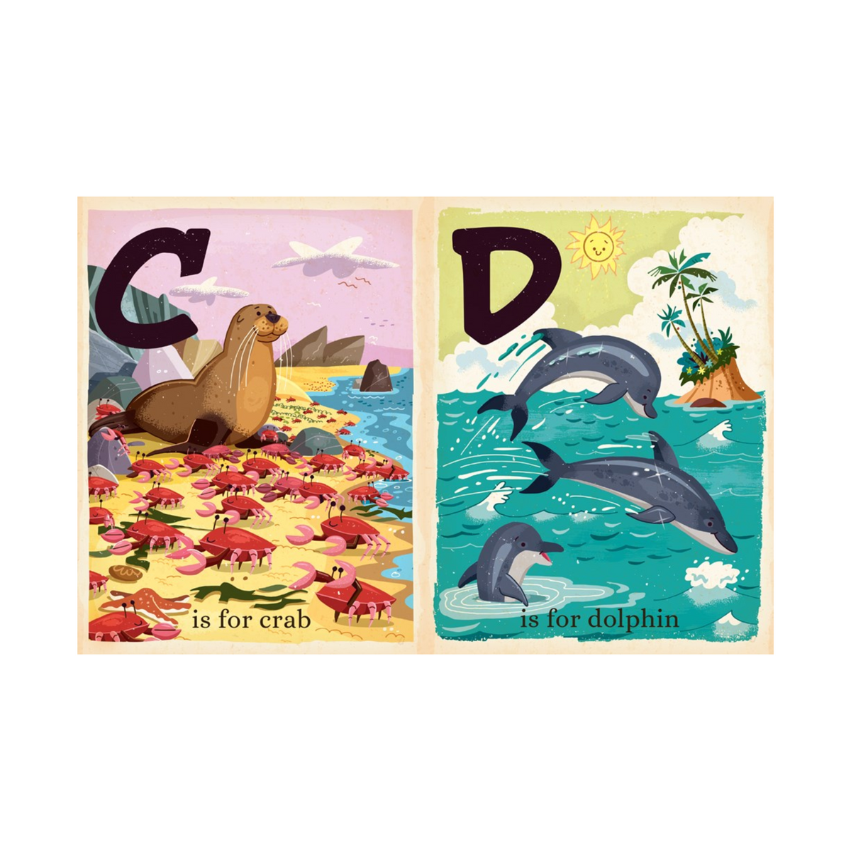 O Is For Ocean Book