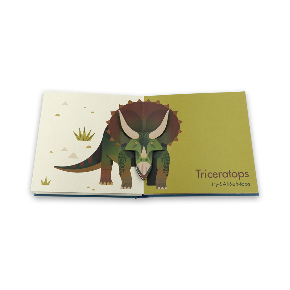 My First Pop-Up Dinosaurs Book